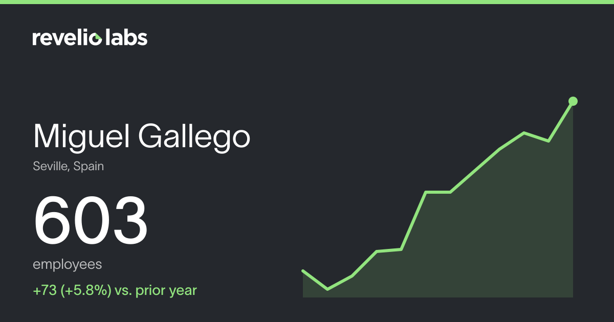 Miguel Gallego Number of Employees 2026 | Employee Count & Headcount ...